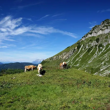 Lejlighed Haus Berner Filzmoos
